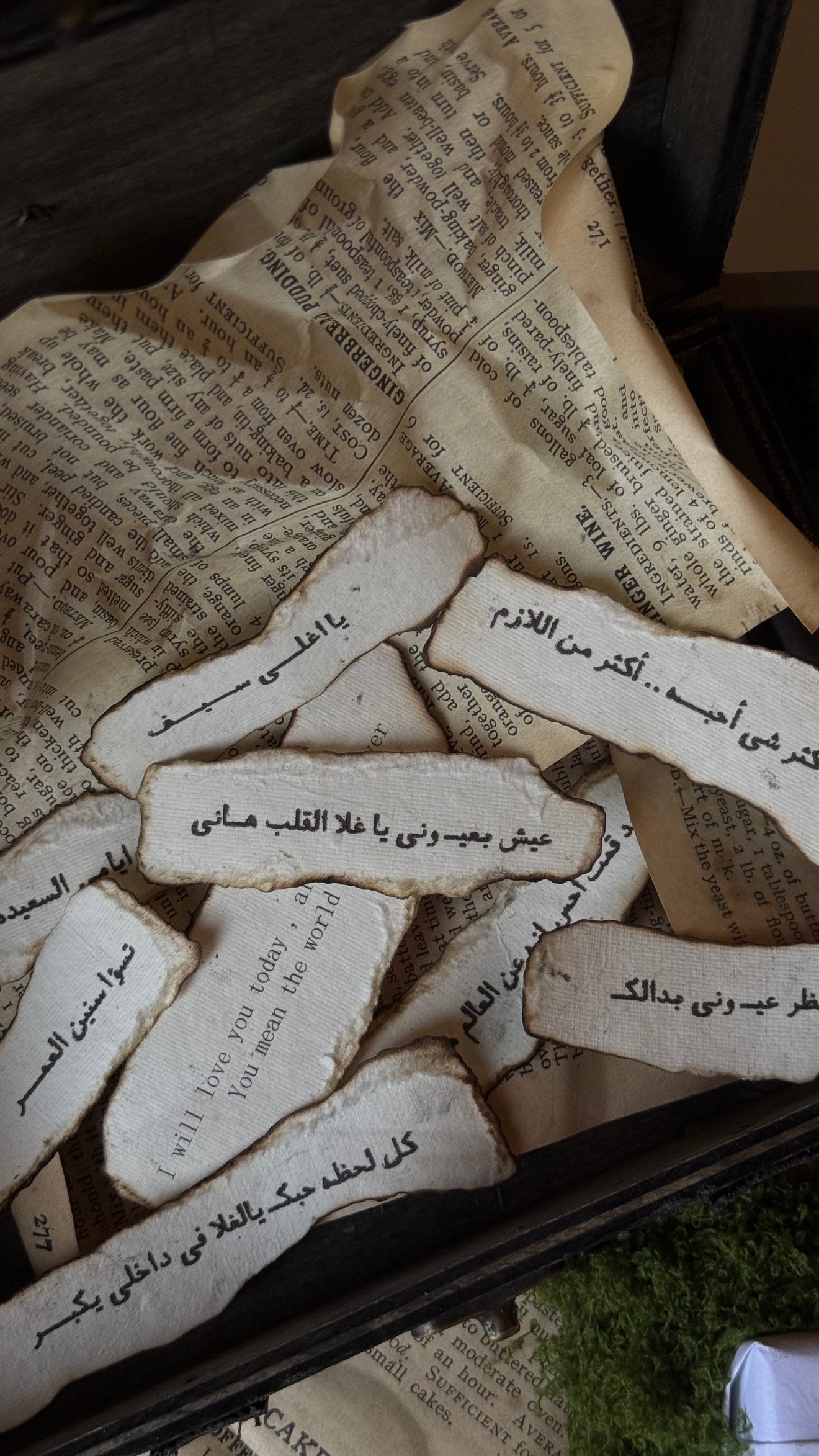 197FB8BA-1B36-4BF6-851F-0E602575D4A6