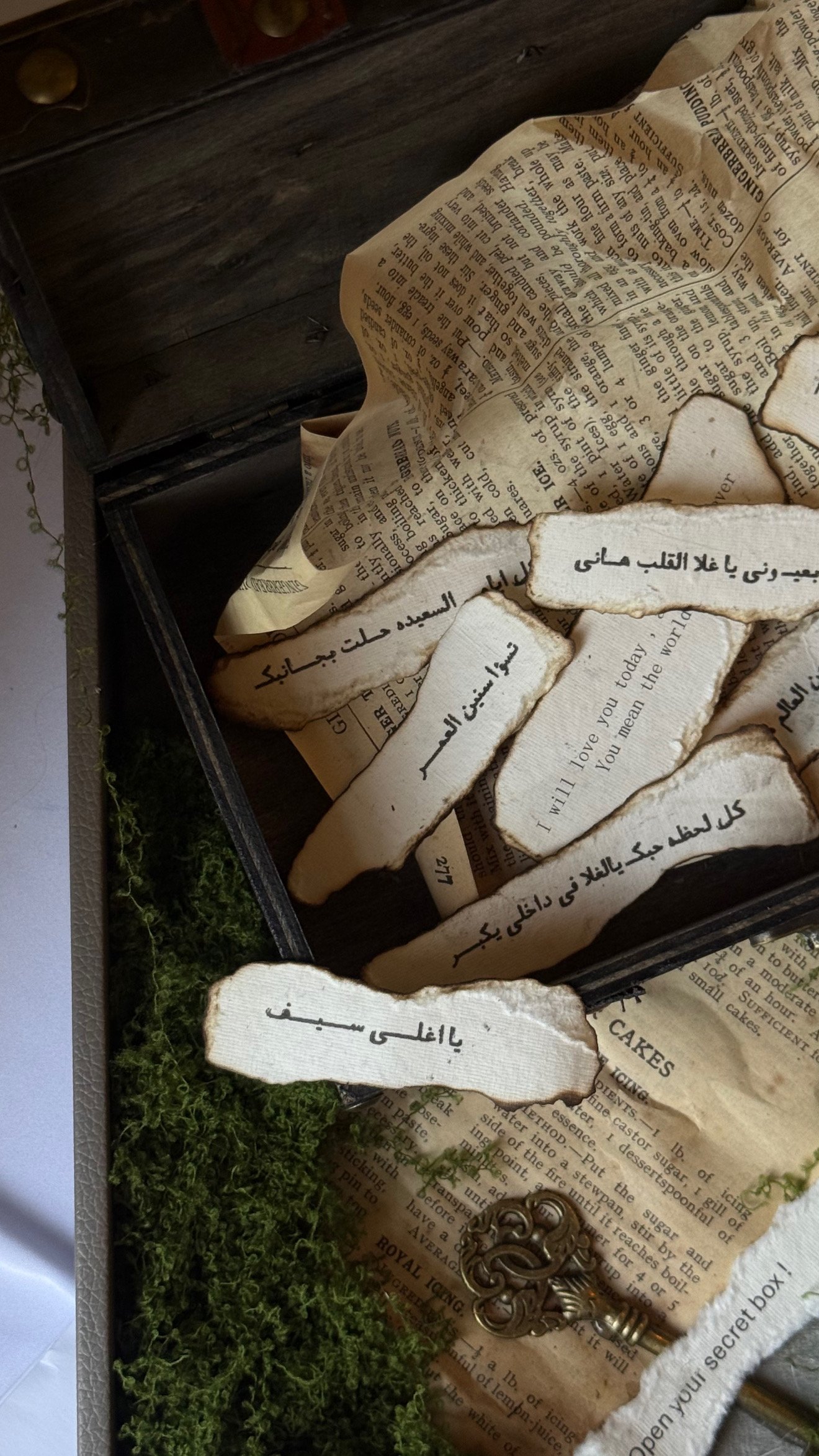 FBD24396-BF18-4242-A9E2-1F741D220AED